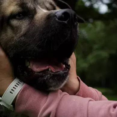 A happy dog being embraced by its owner outdoors